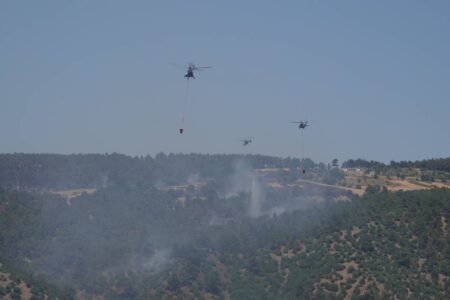 Der Waldbrand in Çanakkale wurde unter Kontrolle gebracht