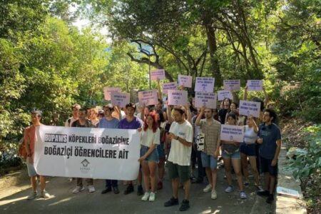 Die Entscheidung, Hunde an der Boğaziçi-Universität zu transportieren, wurde gestoppt