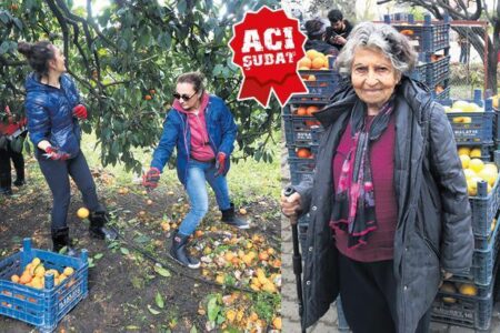 Es schafft Solidarität