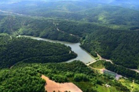 Der Schutzgrad vieler Gebiete, darunter auch Waldgebiete, in Beykoz wurde herabgesetzt.